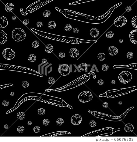 Chilli pepper and black pepper seamless pattern on blackboard. Chilli pepper and black pepper seamless pattern on blackboard. 66076505