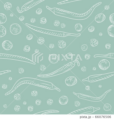 Chilli pepper and black pepper seamless pattern. Engraving vintage style. 66076506
