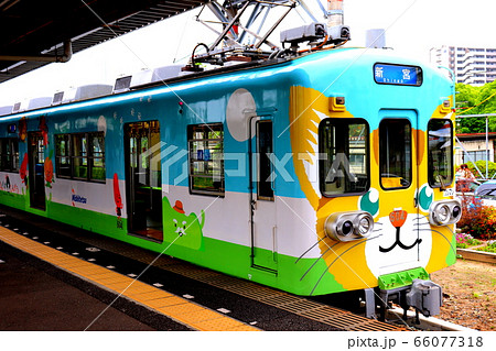 西日本鉄道 西鉄 にゃん電 さんくすしんぐう 西日本鉄道 西鉄 にゃん電 さんくすしんぐう 66077318