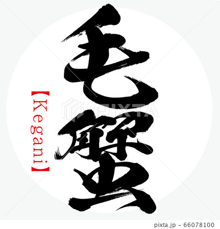 毛蟹・Kegani・北海道の特産品（筆文字・手書き） 66078100