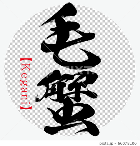 毛蟹・Kegani・北海道の特産品（筆文字・手書き） 66078100
