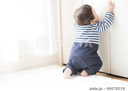赤ちゃんと部屋　つかまり立ち 66078559