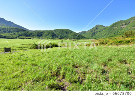 くじゅう坊ガツル湿原　坊ガツル　くじゅう連山　阿蘇くじゅう国立公園　法華院温泉 66078700