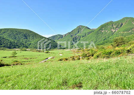 くじゅう坊ガツル湿原　坊ガツル　正面は天狗ヶ城1780ｍ　阿蘇くじゅう国立公園　法華院温泉 66078702