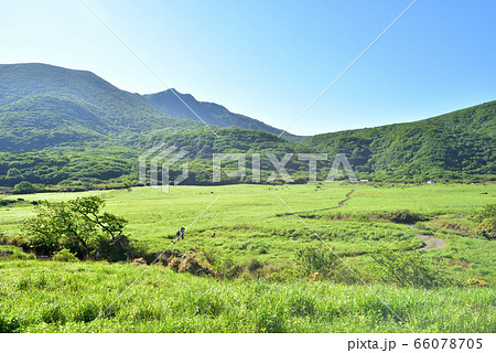 くじゅう坊ガツル湿原　坊ガツル　大船山1786ｍ　阿蘇くじゅう国立公園　法華院温泉 66078705