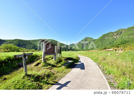 くじゅう坊ガツル湿原 坊ガツル 正面は天狗ヶ城1780m 阿蘇くじゅう国立公園 法華院温泉 くじゅう坊ガツル湿原 坊ガツル 正面は天狗ヶ城1780m 阿蘇くじゅう国立公園 法華院温泉 66078711