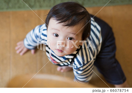 赤ちゃんと部屋　つかまり立ち 66078754
