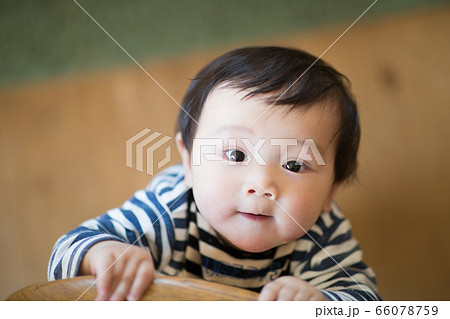 赤ちゃんと部屋　つかまり立ち 66078759