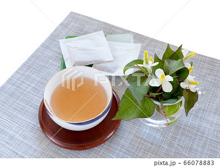 どくだみ茶、ドクダミ茶 66078883