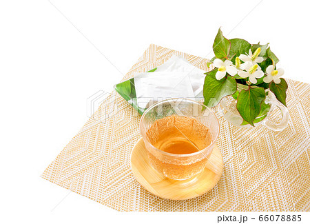 どくだみ茶、ドクダミ茶 どくだみ茶、ドクダミ茶 66078885