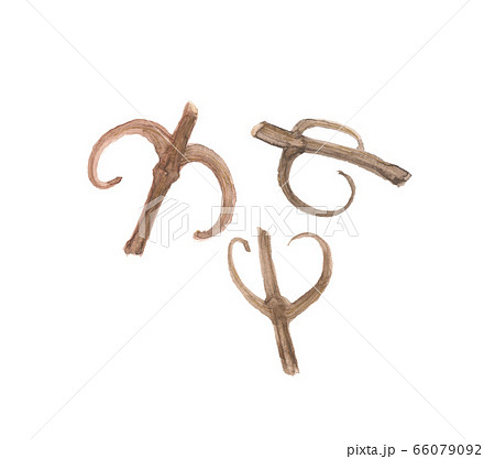 チョウトウコウ 釣藤鉤 チョウトウコウ 釣藤鉤 66079092