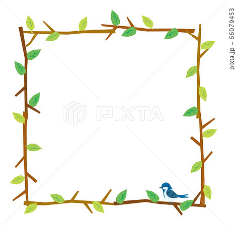 木の枝と葉で組んだフレームのイラスト とまり木と鳥 タイトルバックに自然のイメージ白背景のイラスト素材