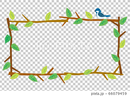 木の枝と葉で組んだフレームのイラスト 止り木可愛い鳥 タイトルバックに自然のイメージ白背景のイラスト素材