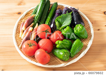 夏野菜盛り合わせ 66079602
