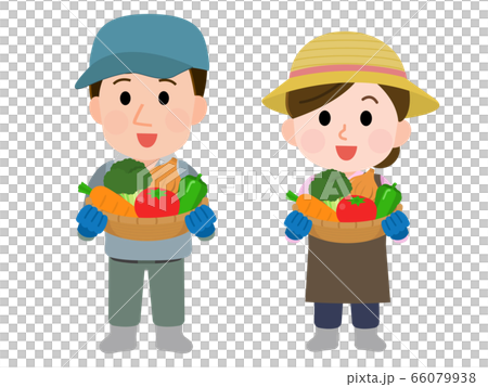野菜農家　夫婦　イラスト 66079938