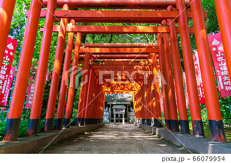 小牧山稲荷神社259 小牧山稲荷神社259 66079954
