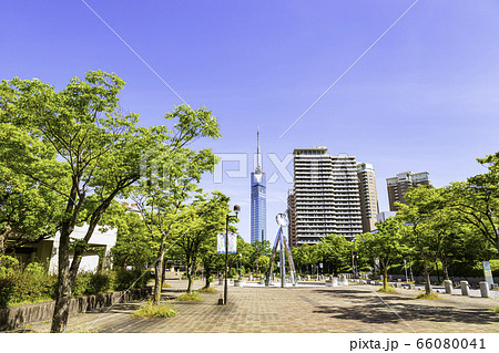 サザエさん通りから見た美しい福岡タワー 66080041