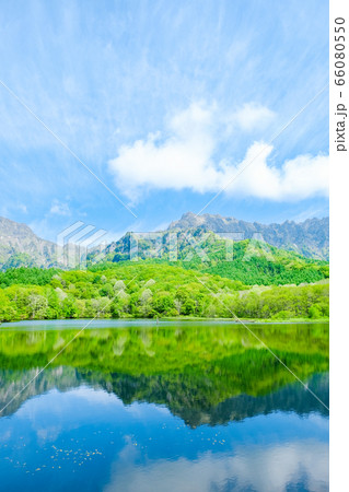 鏡池から望む新緑の戸隠山 66080550