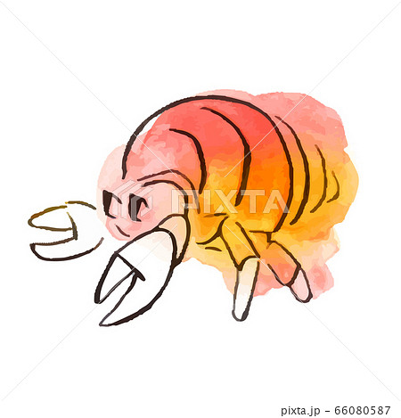 夏のイラスト ヤドカリのイラスト素材