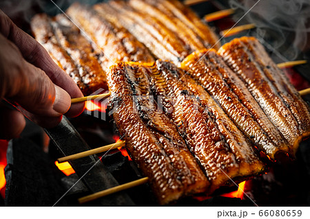 うなぎを焼く 66080659