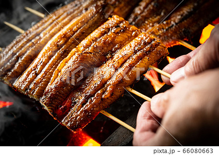 うなぎを焼く うなぎを焼く 66080663