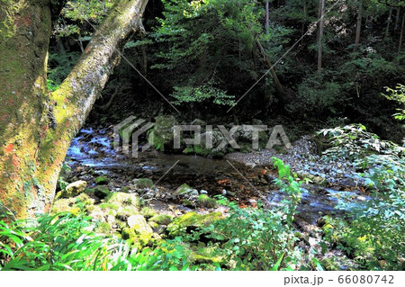 円原の伏流水・15（岐阜県山県市円原地区） 66080742