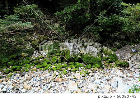 円原の伏流水・18（岐阜県山県市円原地区） 66080745