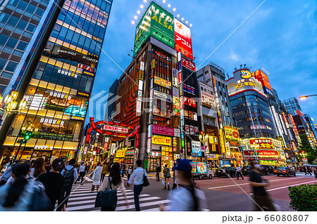日本の東京都市景観　新宿・歌舞伎町などを望む 66080807