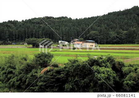 根尾路・6（岐阜県本巣市佐原） 66081141