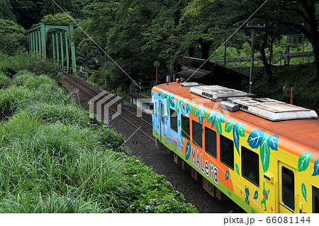 根尾路・9（岐阜県本巣市日当） 66081144