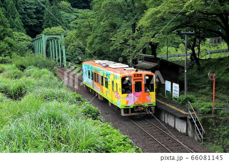 根尾路・10（岐阜県本巣市日当） 66081145