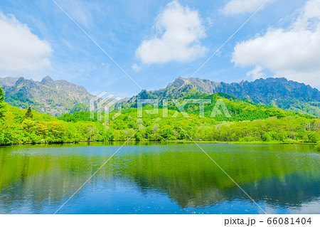 鏡池から望む新緑の戸隠山 66081404