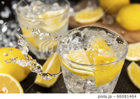 レモンサワー レモンサワー 66081464
