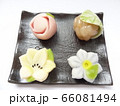 夏の和菓子 66081494