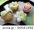 夏の和菓子 66081498