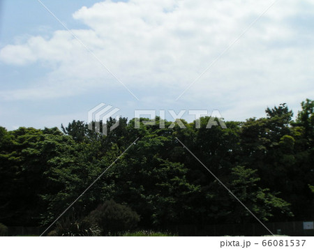 初夏の青空と白い雲 66081537
