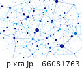 Network 66081763