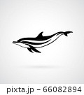 dolphin strip logo sign vector illustration 66082894