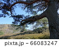 松と小室山リフト 松と小室山リフト 66083247