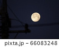 月と電柱 月と電柱 66083248