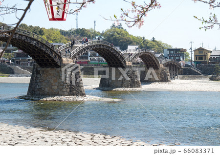 桜咲く錦帯橋の景色 桜咲く錦帯橋の景色 66083371