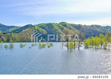 5月岩手県北上市錦秋湖 66084108
