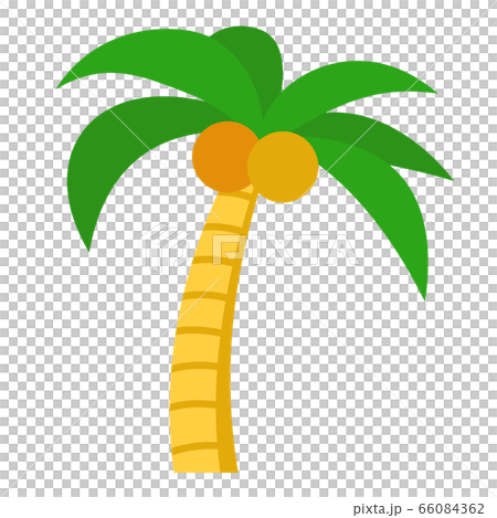 棕櫚樹的例證 66084362