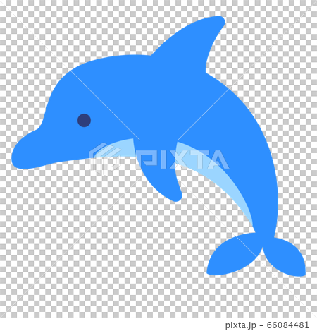 イルカのイラストのイラスト素材