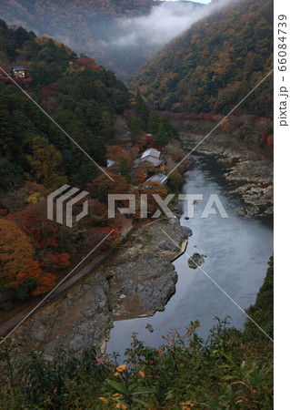 嵐山の紅葉 嵐山の紅葉 66084739
