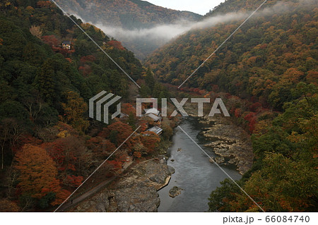 嵐山の紅葉 66084740
