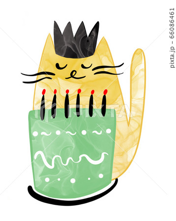 Illustration of a cat pet in watercolor style with a texture of different colors on a white isolated 66086461