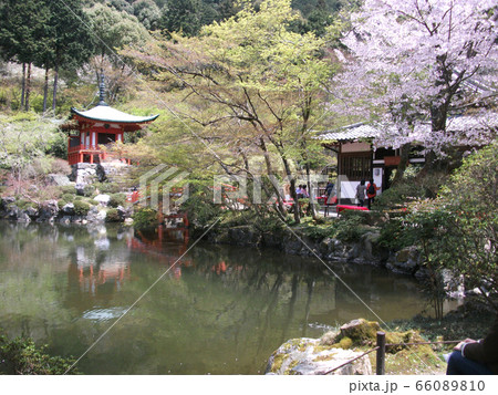 春の京都 66089810