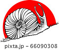 Hand drawn snails. sunset. up. Vector illustration. 66090308