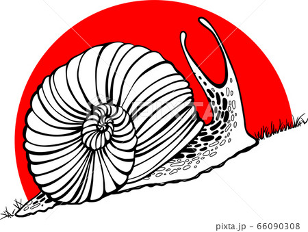 Hand drawn snails. sunset. up. Vector illustration. 66090308